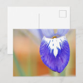 Iris Postcard Feiertagspostkarte (Vorne/Hinten)