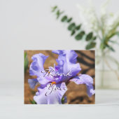 Iris Postcard - passen Sie an jeden Anlass an Postkarte (Stehend Vorderseite)