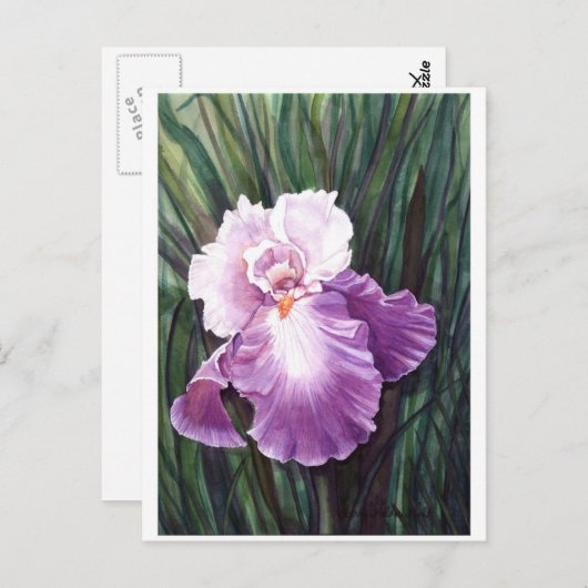 Iris Postcard Postkarte (Vorne/Hinten)