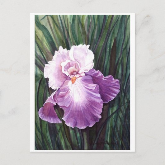Iris Postcard Postkarte (Vorderseite)