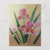 Iris Postcard Postkarte (Vorderseite)