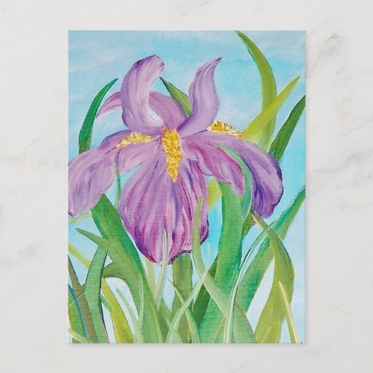 Iris Postcard Postkarte (Vorderseite)