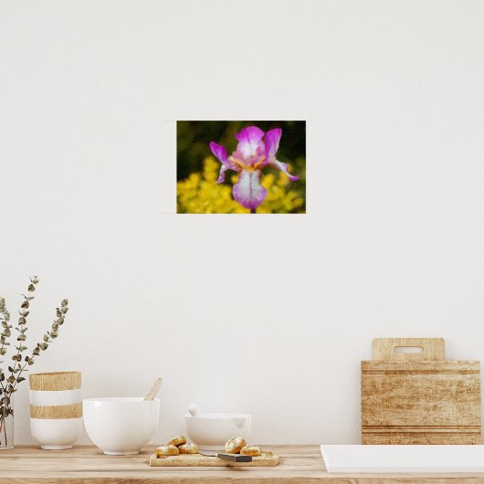 Iris Poster (Küche)
