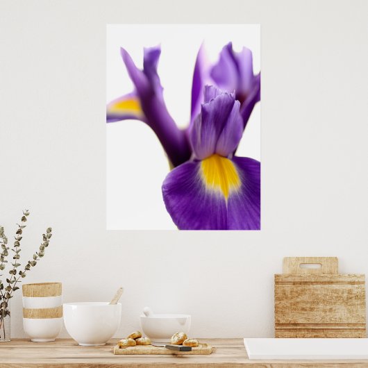 Iris Poster (Küche)