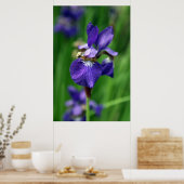 Iris Poster (Küche)