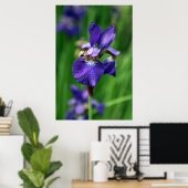 Iris Poster (Heimbüro)