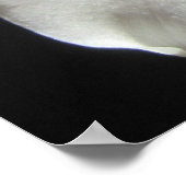 Iris Poster (Ecke)