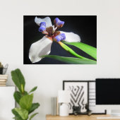 Iris Poster (Heimbüro)