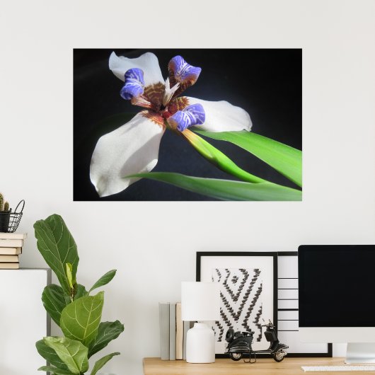 Iris Poster (Heimbüro)