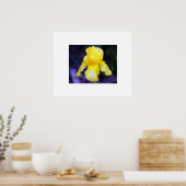 Iris Poster (Küche)