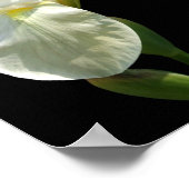 Iris Poster (Ecke)