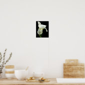 Iris Poster (Küche)