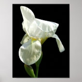 Iris Poster (Vorne)