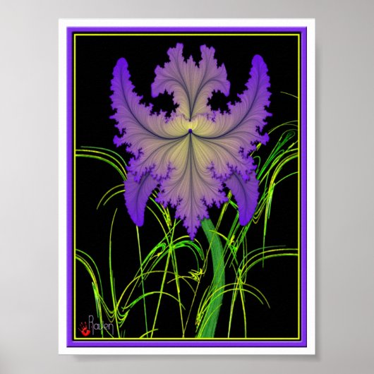 Iris Poster (Vorne)