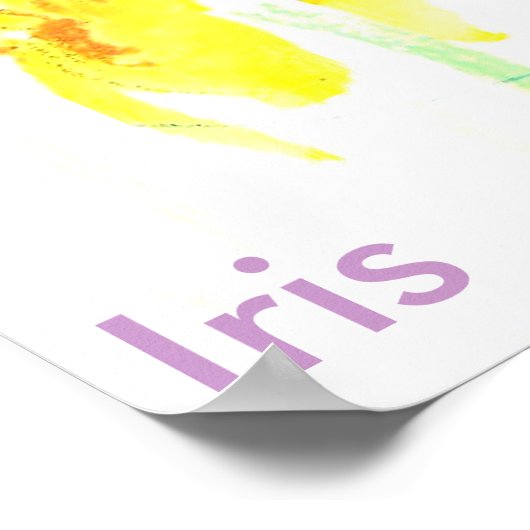 Iris Poster (Ecke)