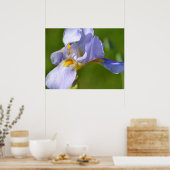 Iris Poster (Küche)