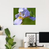 Iris Poster (Heimbüro)