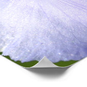 Iris Poster (Ecke)