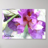 Iris Poster (Vorne)
