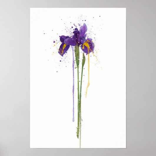 Iris Poster (Vorne)