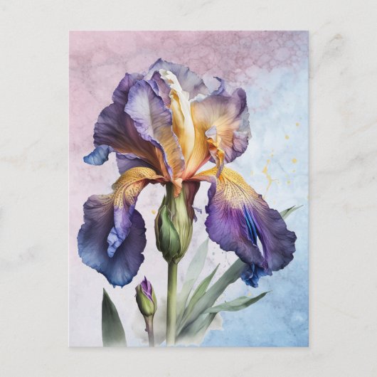 Iris Postkarte (Vorderseite)