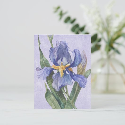 Iris Postkarte (Stehend Vorderseite)