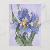 Iris Postkarte (Vorderseite)