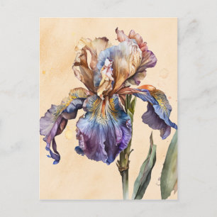 Iris Postkarte