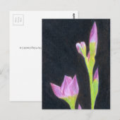 Iris Postkarte (Vorne/Hinten)