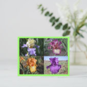 Iris Postkarte (Stehend Vorderseite)