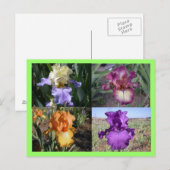 Iris Postkarte (Vorne/Hinten)