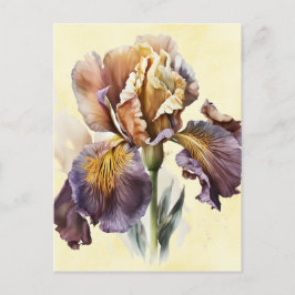 Iris Postkarte