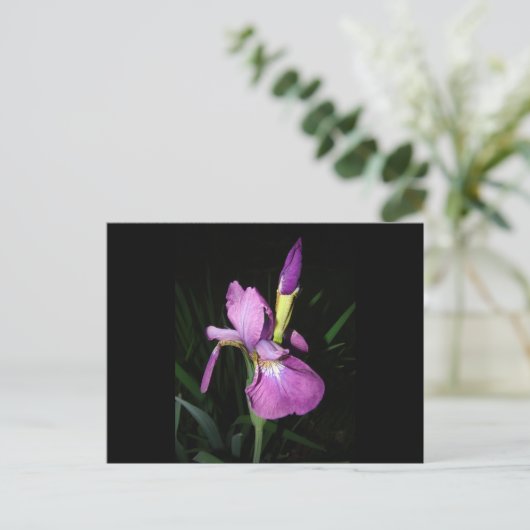 IRIS POSTKARTE (Stehend Vorderseite)