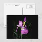IRIS POSTKARTE (Vorne/Hinten)