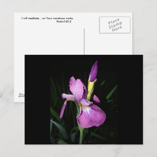 IRIS POSTKARTE (Vorne/Hinten)