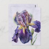 Iris Postkarte (Vorne/Hinten)