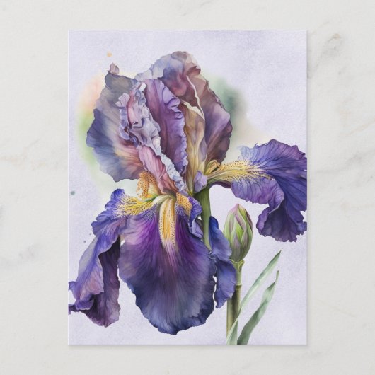 Iris Postkarte (Vorderseite)
