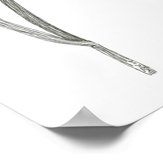 Iris Print Poster (Ecke)