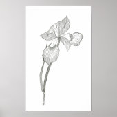 Iris Print Poster (Vorne)