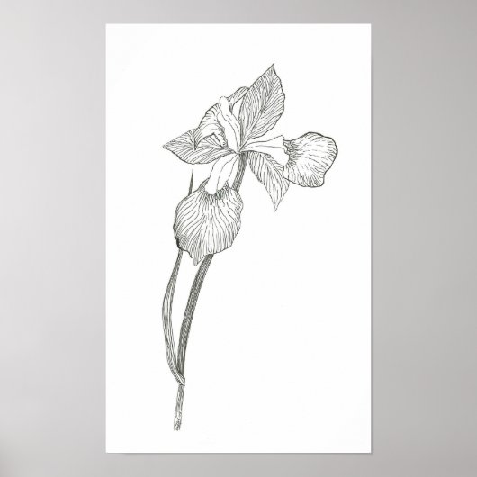Iris Print Poster (Vorne)