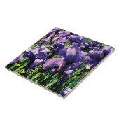 Iris-Prinzessin königlicher Smith Fliese (Seite)
