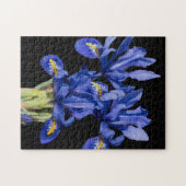 Iris Puzzle (Horizontal)