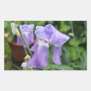Iris. Rechteckiger Aufkleber