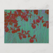 Iris Red Postkarte (Vorderseite)
