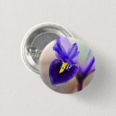 Iris Reticulata Blume Abzeichen Button (Vorne & Hinten)