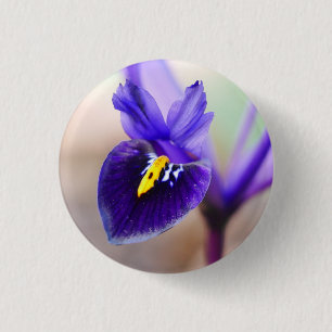 Iris Reticulata Blume Abzeichen Button