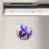 Iris Reticulata Blume Magnet (In Situ (Geschirrspüler))