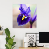 Iris Reticulata Blume Poster (Heimbüro)