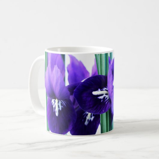Iris Reticulata Tasse (Vorderseite Links)