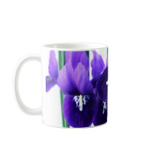 Iris Reticulata Tasse